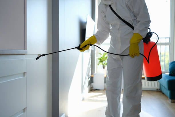Best Commercial Mold Remediation in Lowell, IN